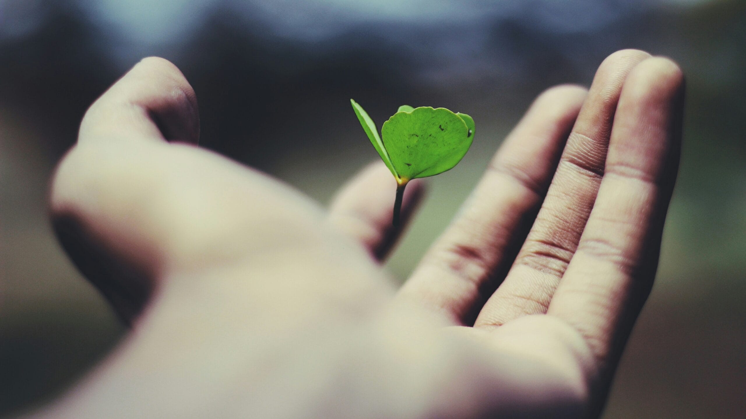 The Need for Life Insurance
