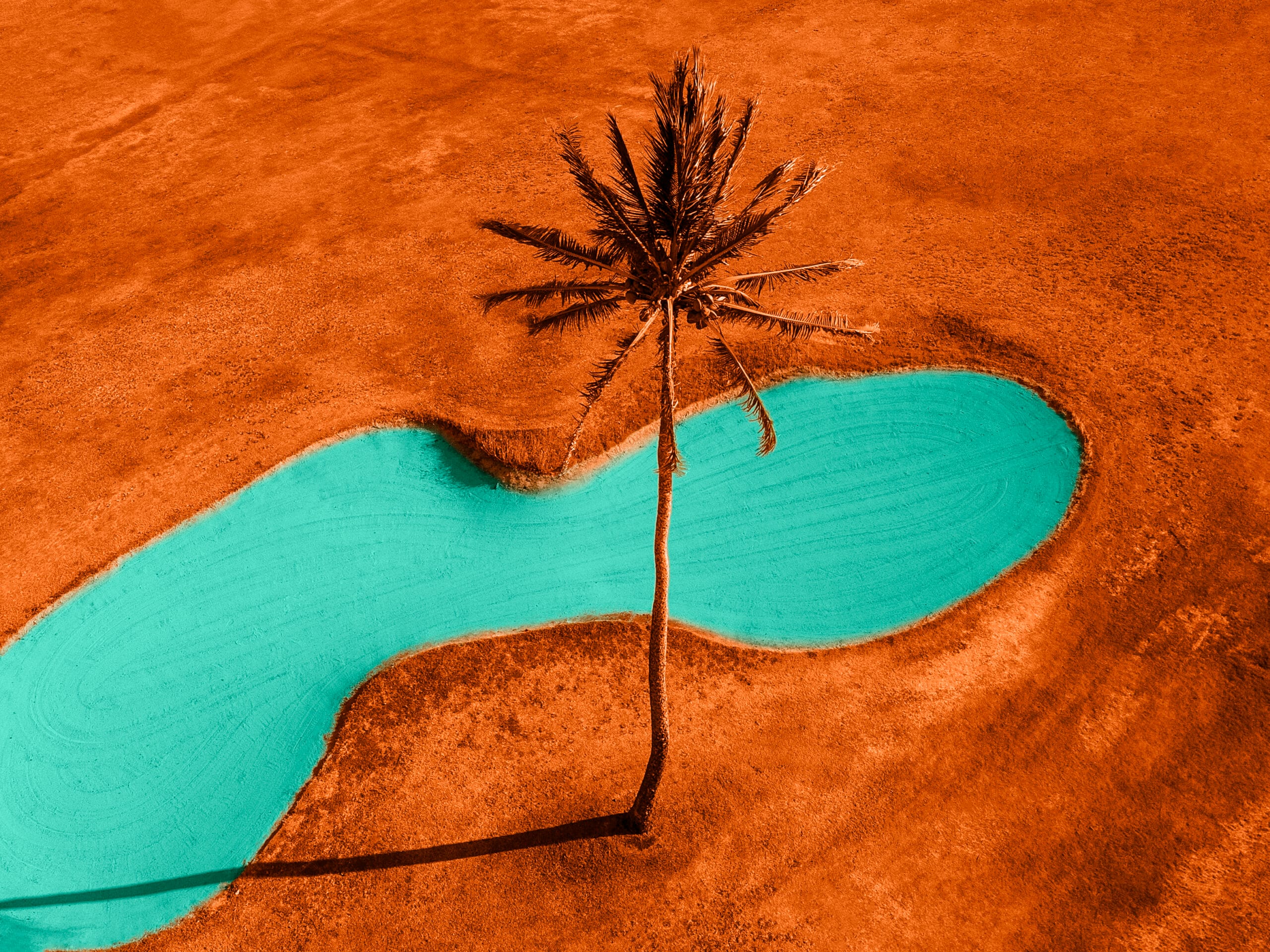 Insurance Briefing Trending in the GCC